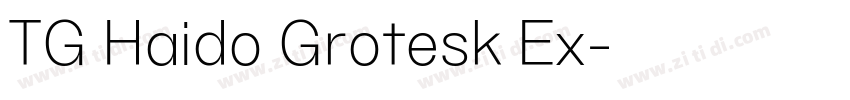 TG Haido Grotesk Ex字体转换